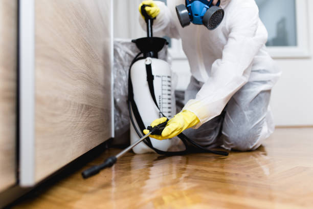 Best Local Pest Control Services  in Beaufort, SC