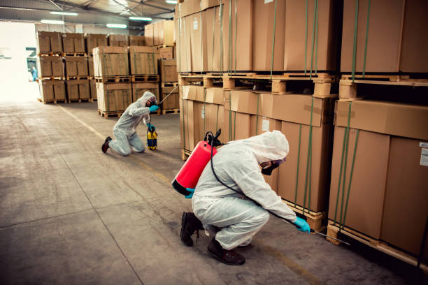 Best Best Pest Control Companies  in Beaufort, SC