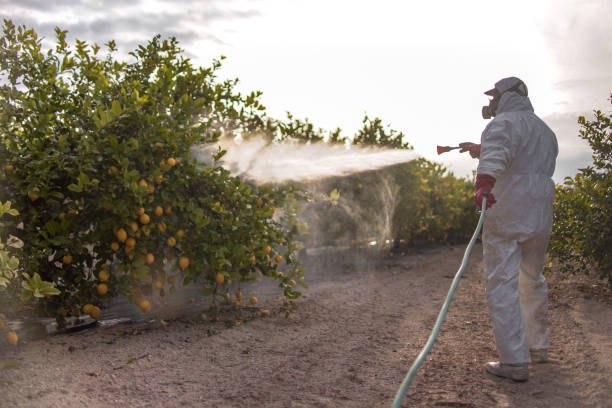 Pest Prevention Services in Beaufort, SC