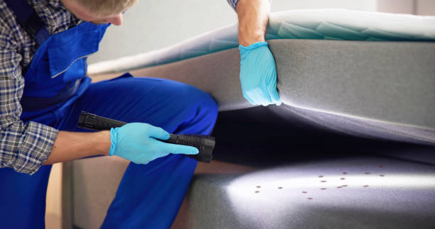 Best Pest Prevention Services  in Beaufort, SC