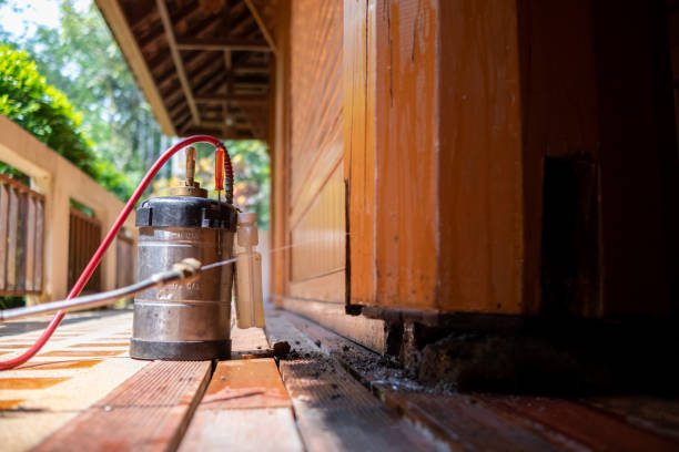 Best Pest Removal Services  in Beaufort, SC