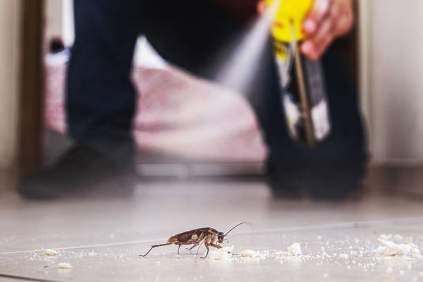 Best Commercial Pest Control Services  in Beaufort, SC