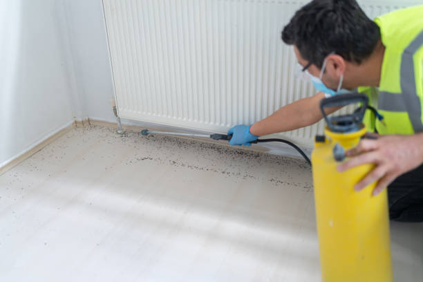 Best Exterminator Services  in Beaufort, SC