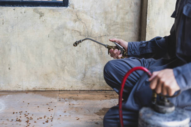Best Best Pest Control Companies  in Beaufort, SC